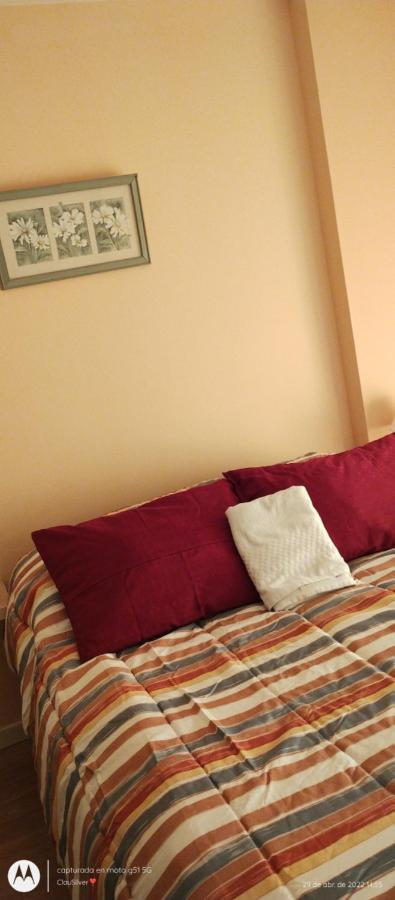 Ferienwohnung Acogedor Monoambiente Con Parking Neuquén Exterior foto
